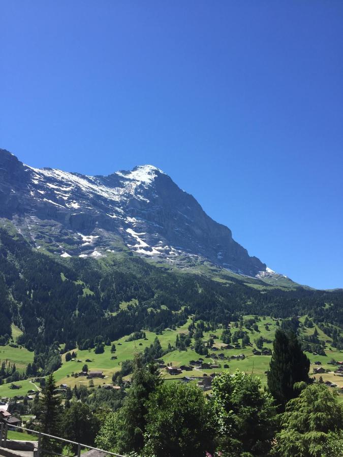 Apartment Jungfrau Lodge Grindelwald Exterior photo